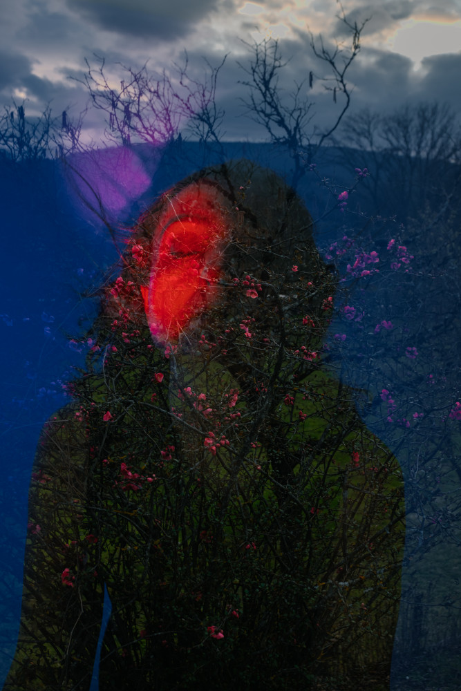Photographe Anastasia Dutova portfolio image 3